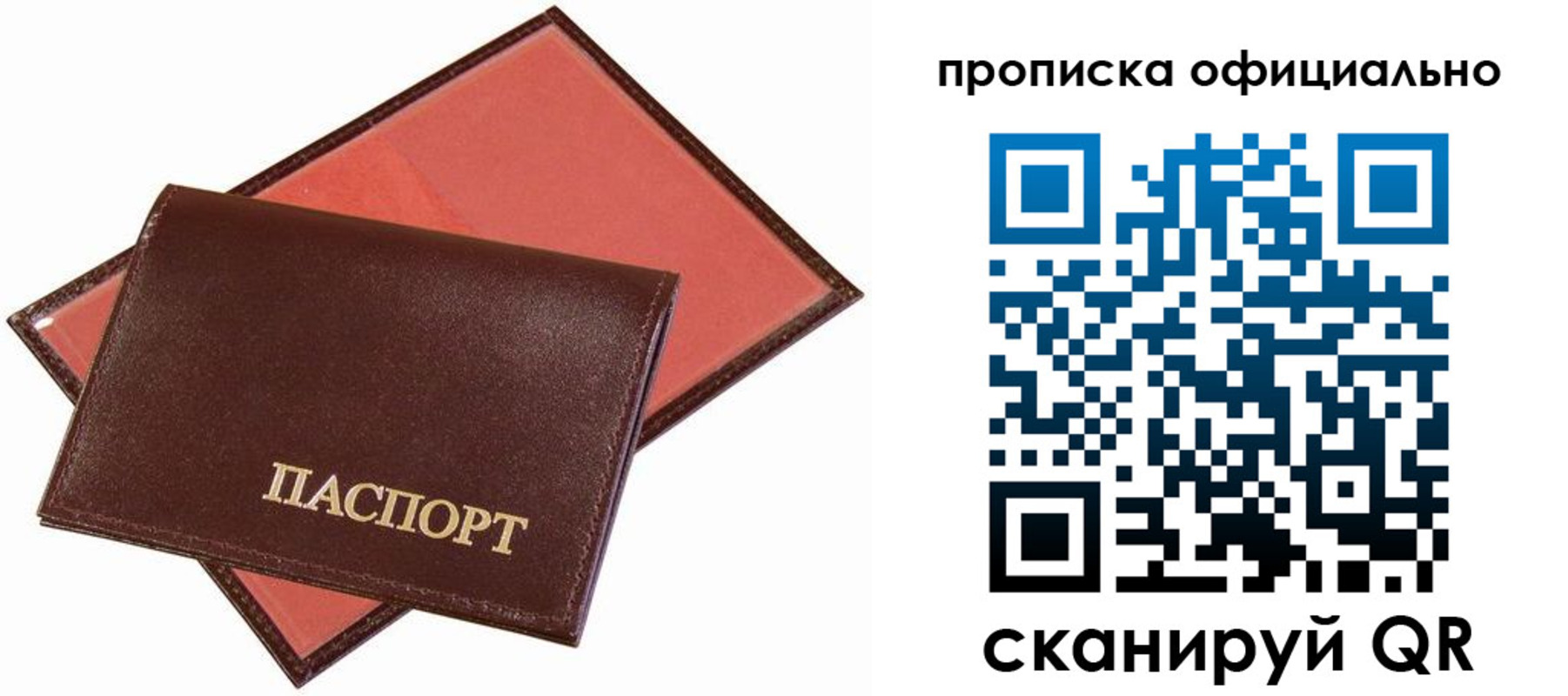 временная регистрация гарантия в Ельне